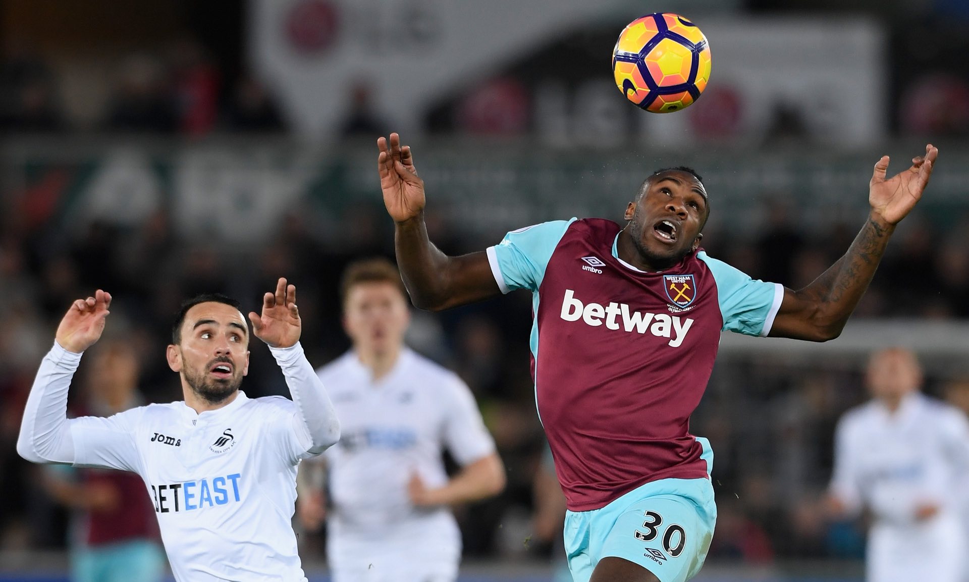 意义与展望 意义与展望